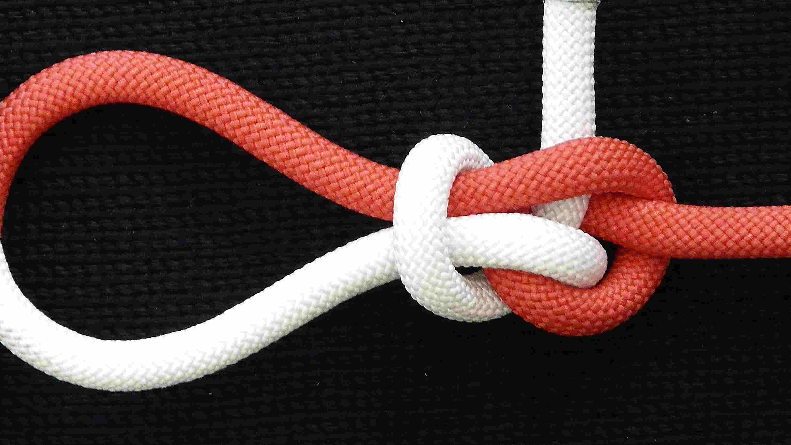petTIB eyeknot (back view).JPG