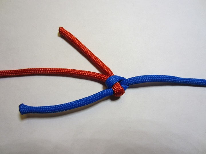 Reverse side.jpg