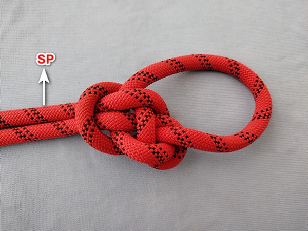 Knotsaver's Lee's bowline.jpg