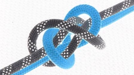 the Oyster bend (loose knot, side view)(invert-ed-negative).JPG