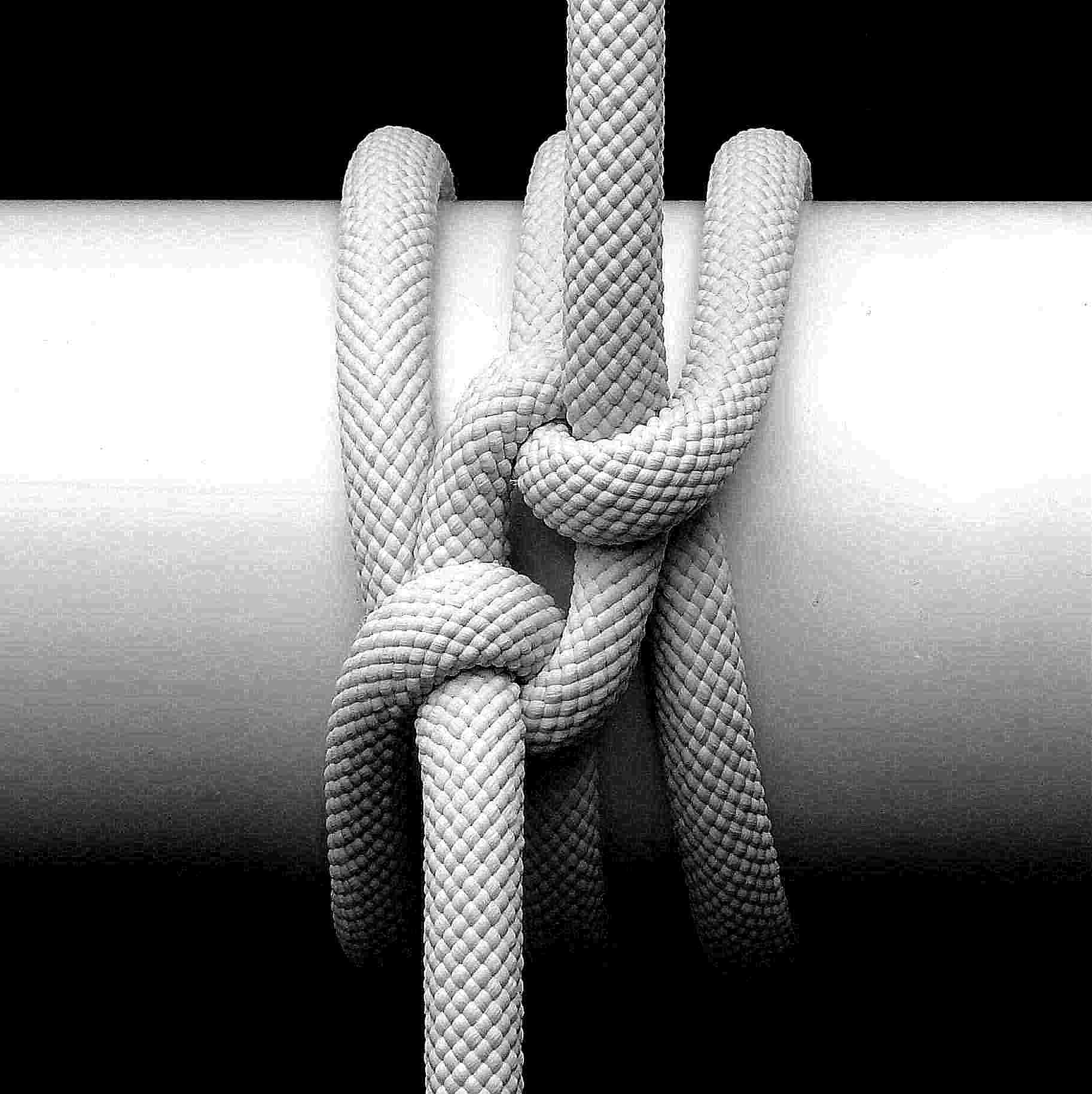 4 B & W Contrast.JPG