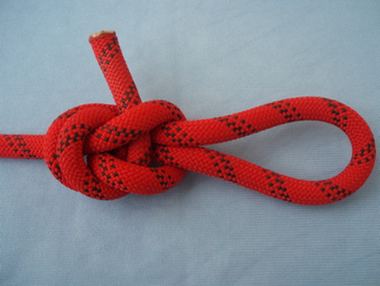 Double flashbowline_back.JPG