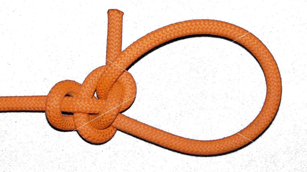 Lee s bowline (back view).jpg