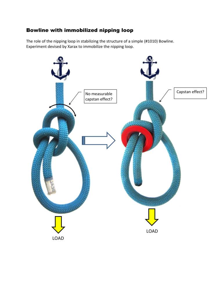 Bowline with immobilized nipping loop.jpg
