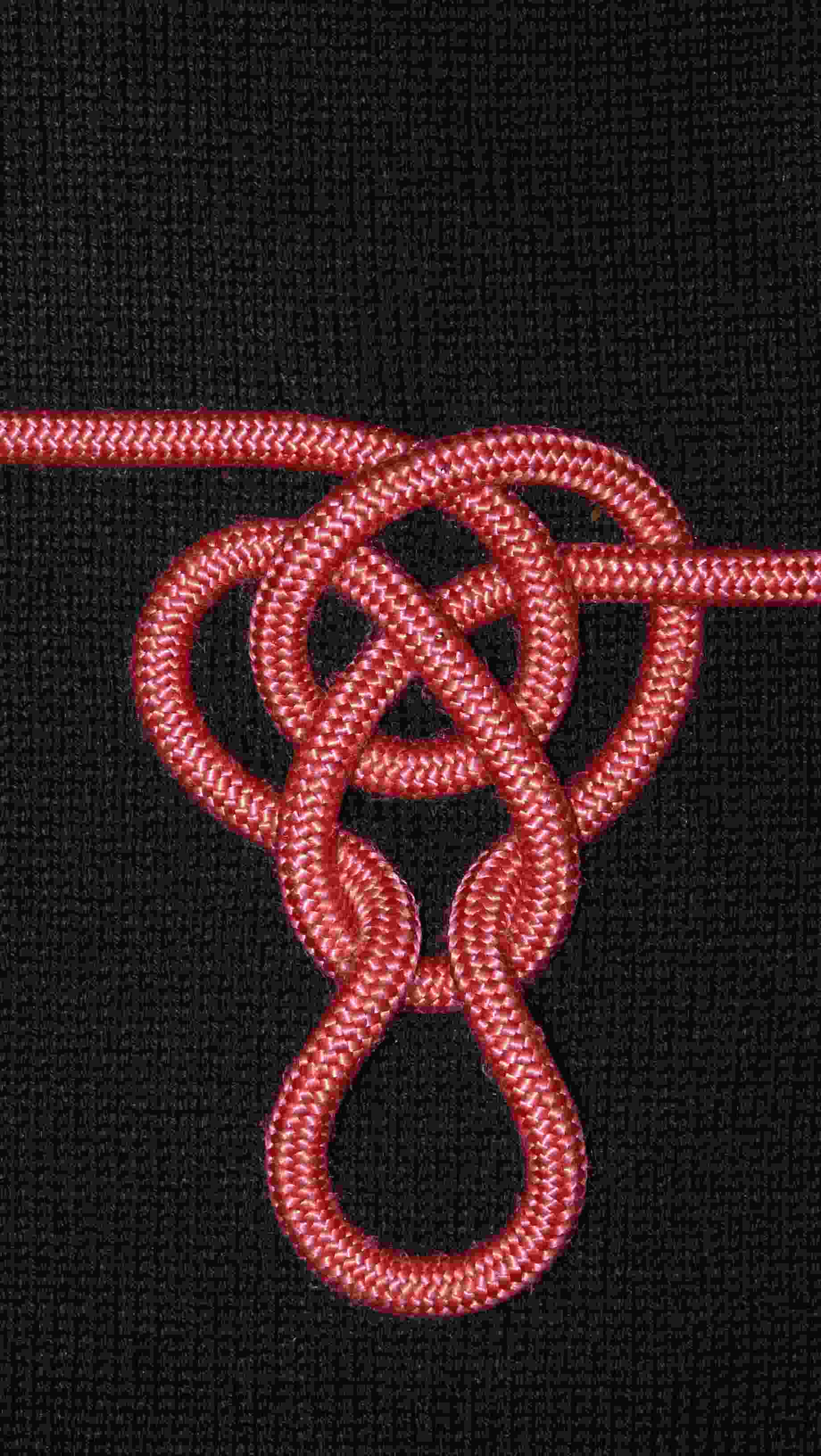 pet loop 3.JPG