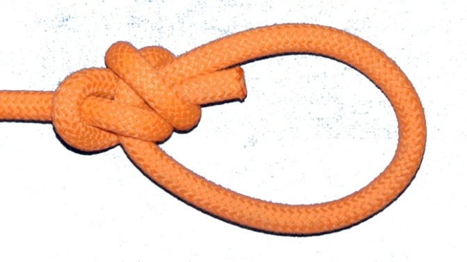 double crossed-coils bowline.JPG
