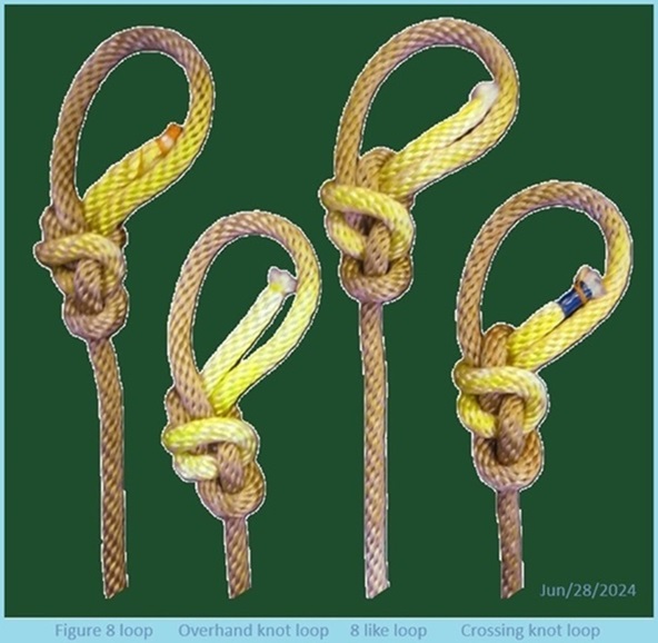 Loops + Bight.JPG