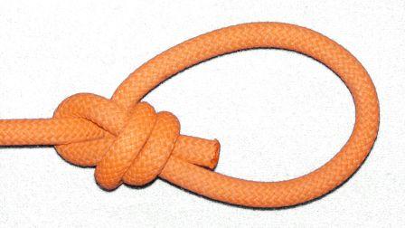 Double,crossed coils (common, right hand) bowline (back view).jpg