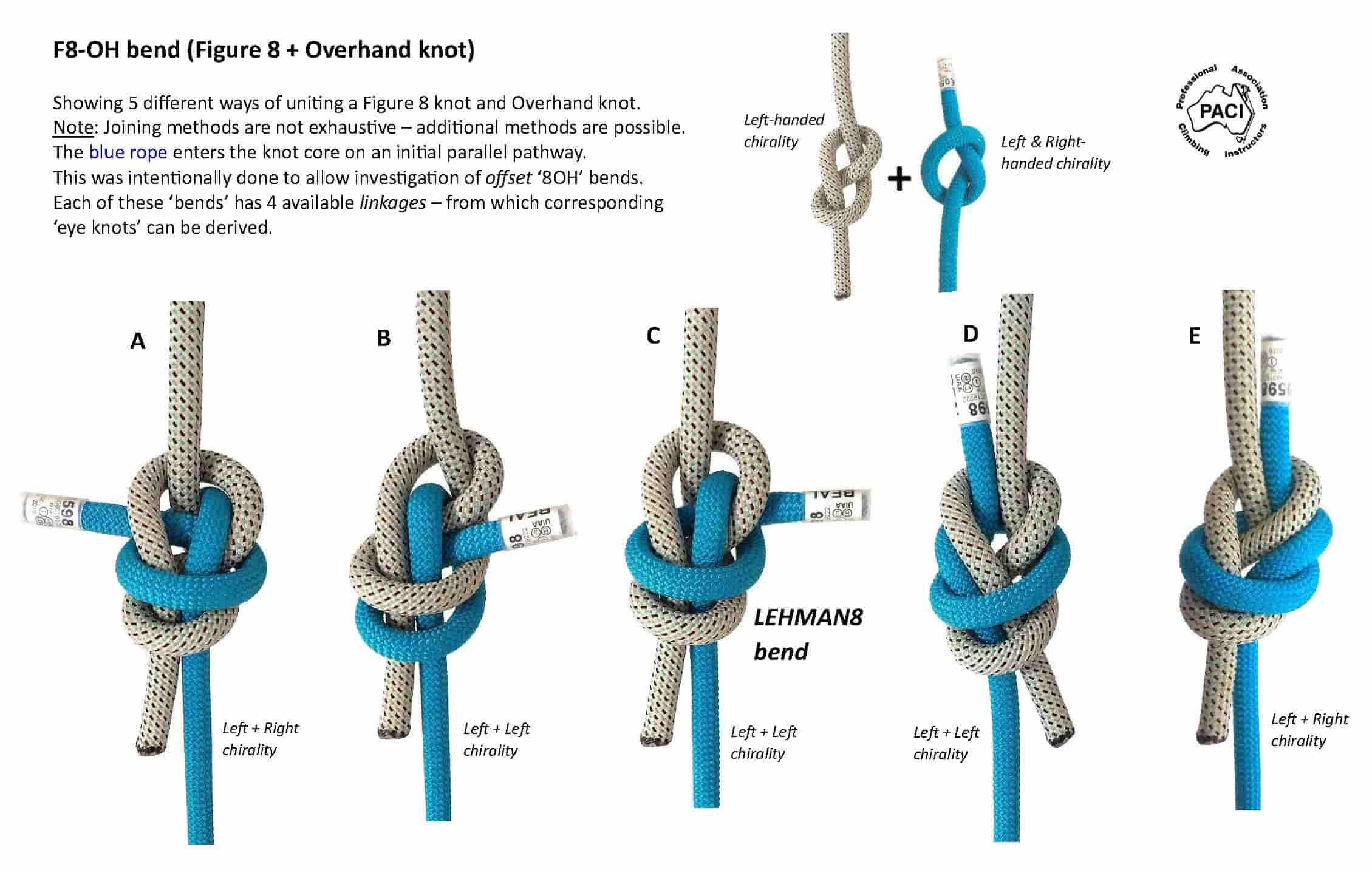 F8-OH bends_WEB.jpg