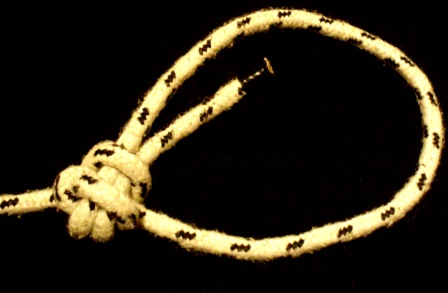 crossing knot based loop_variant.jpg