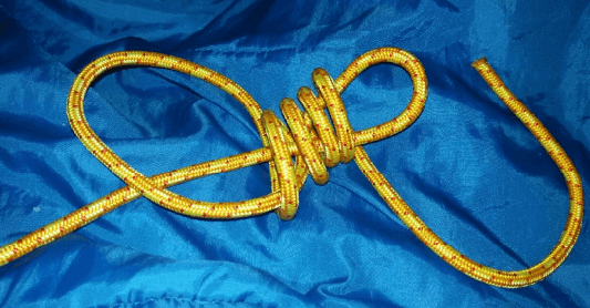 noeud-abeille_bee-knot_1.png