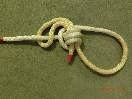 CIMG1152.JPG (B).JPG