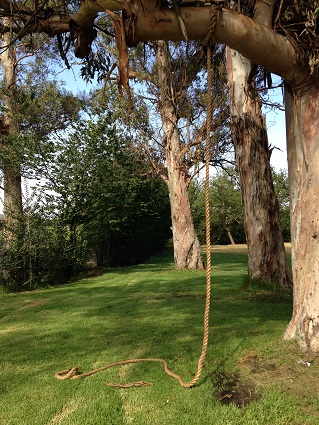 20150806-ClimbingRopeTree 001b.jpg