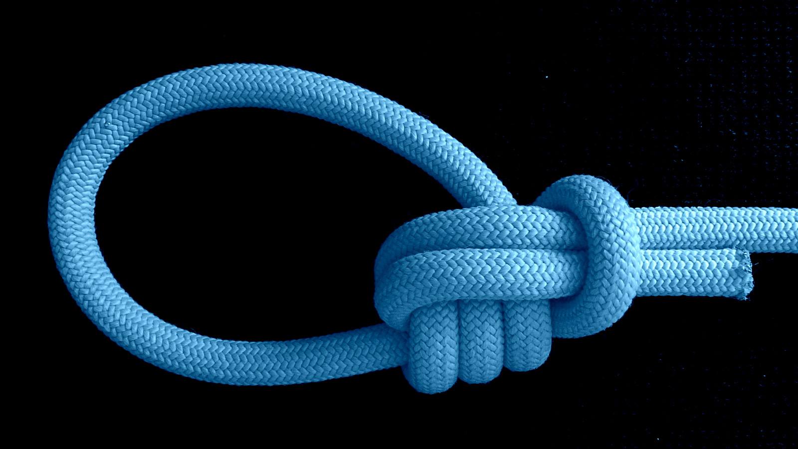 Triple TIB bowline (2).JPG