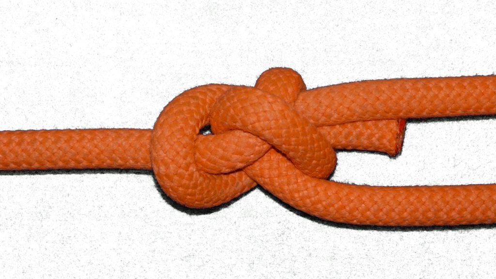 Crossing knot Common Bowline (Right hand)(bottom view).jpg