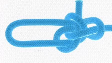 Fontus bowline (flash).JPG