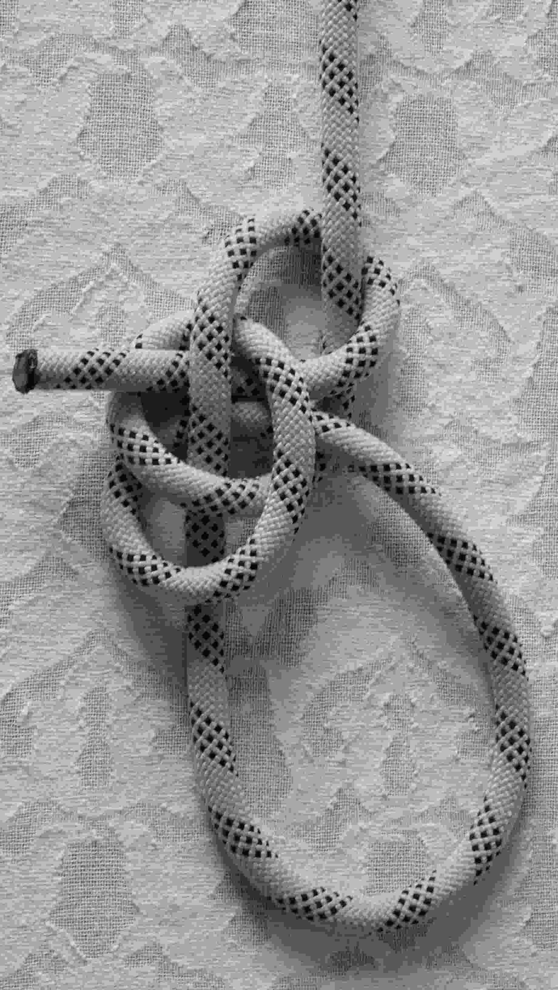Double crossed nipping loops bowline (1).JPG