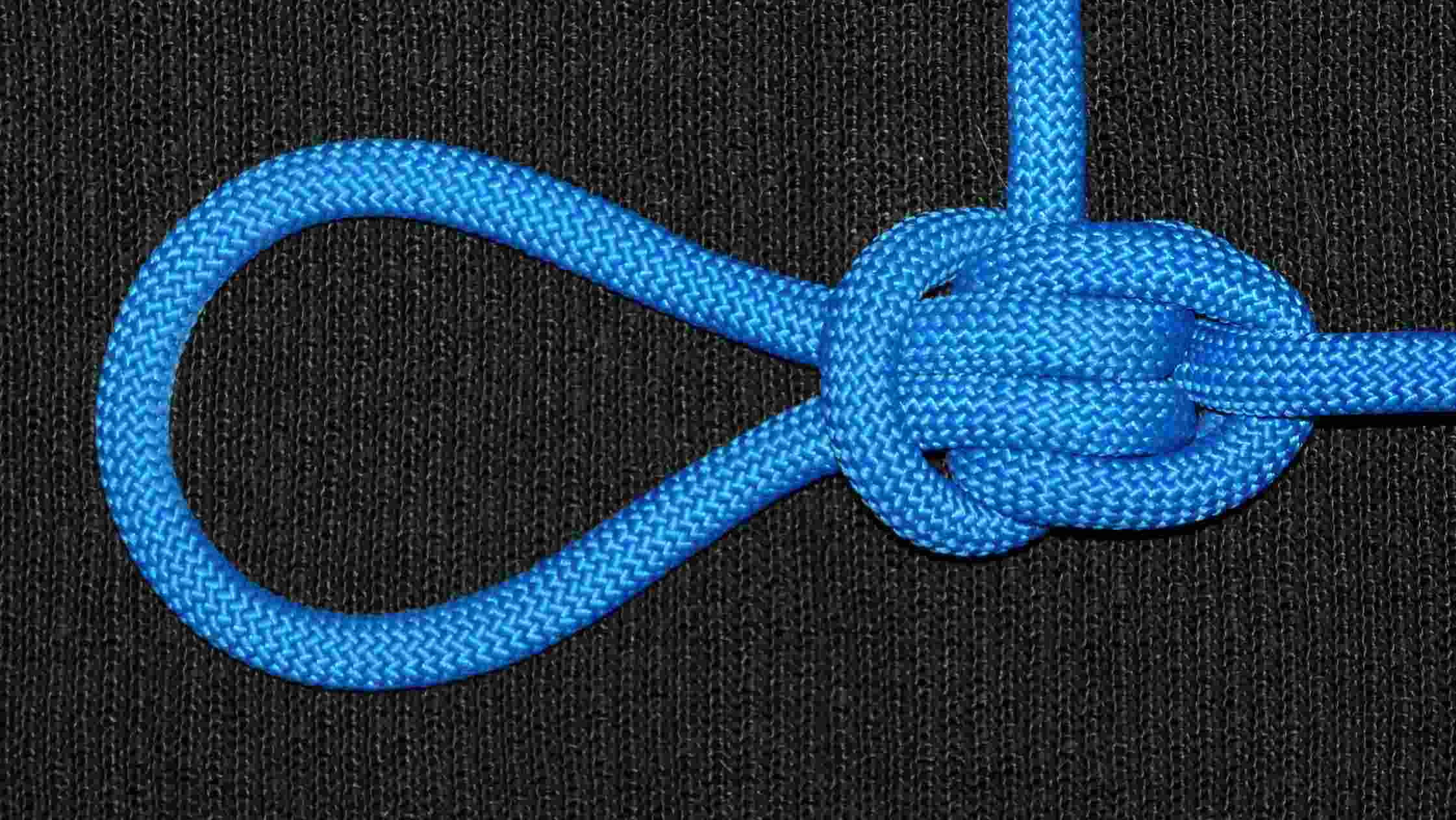 Pseudo Zeppelin loop (front view).JPG