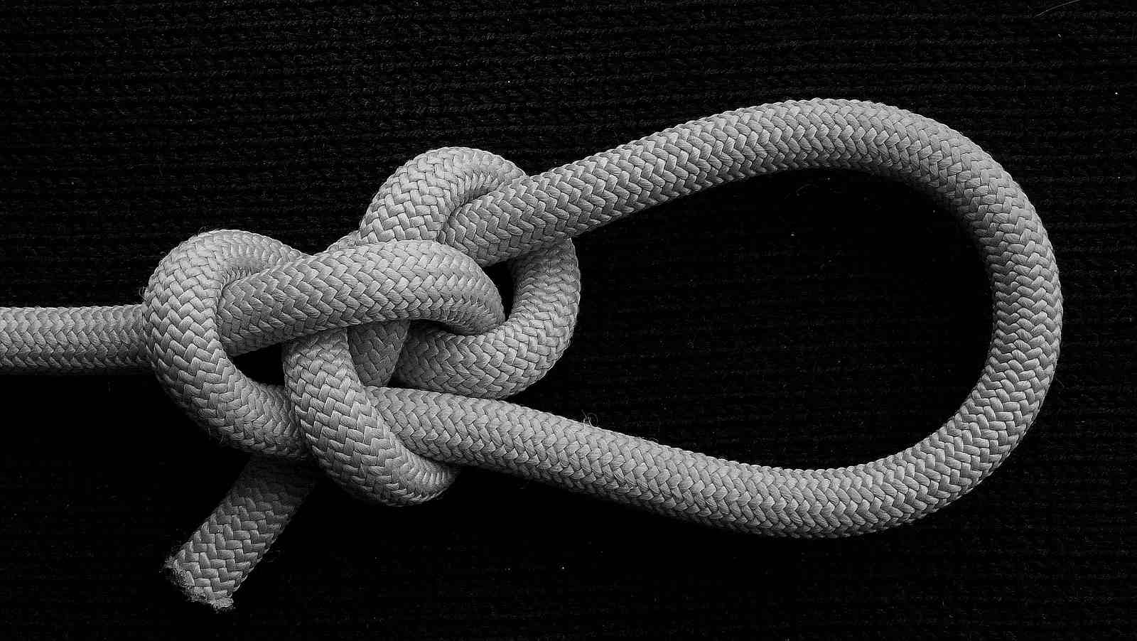 Ampersand TIB bowline ( rear view ) (B&W).JPG