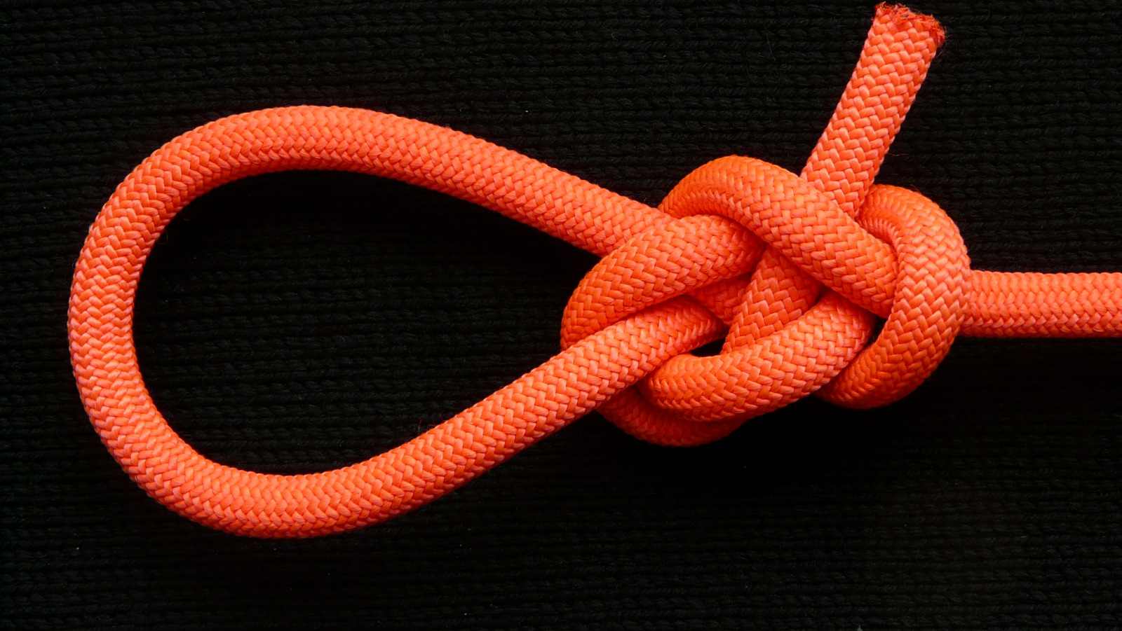 Lee s Pretzel collar, -shaped loop (1).JPG