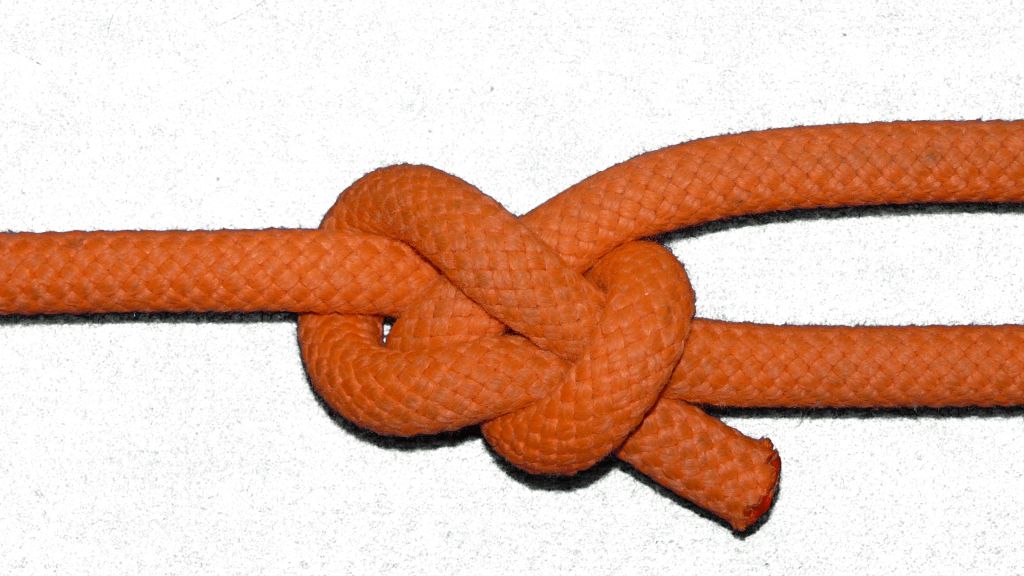 Crossing knot Common Bowline (Left hand)(bottom view).jpg