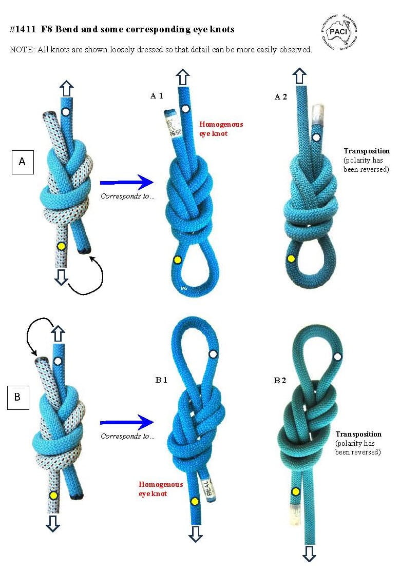F8-Bend_2 corresponding_eye-knots_WEB.jpg