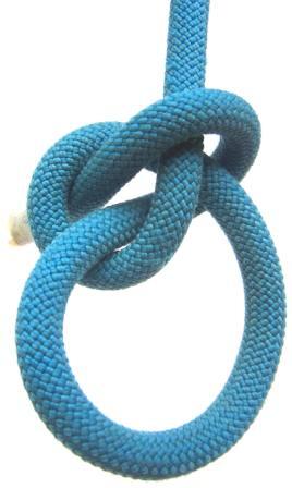 Bowline_Myrtle-collar_Front.JPG