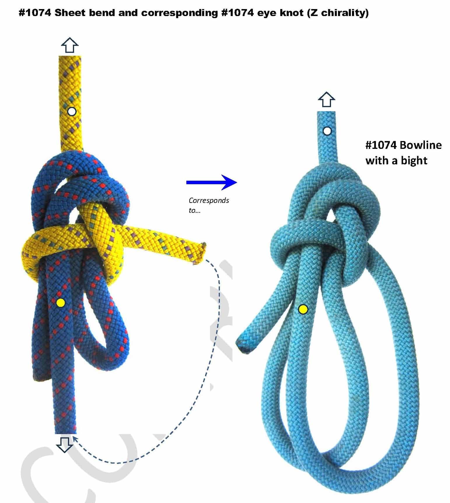Sheet-bend-1074_corresponding eye knot-min.jpg