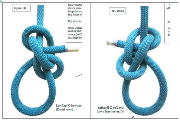 Conv - mirrored!.gif