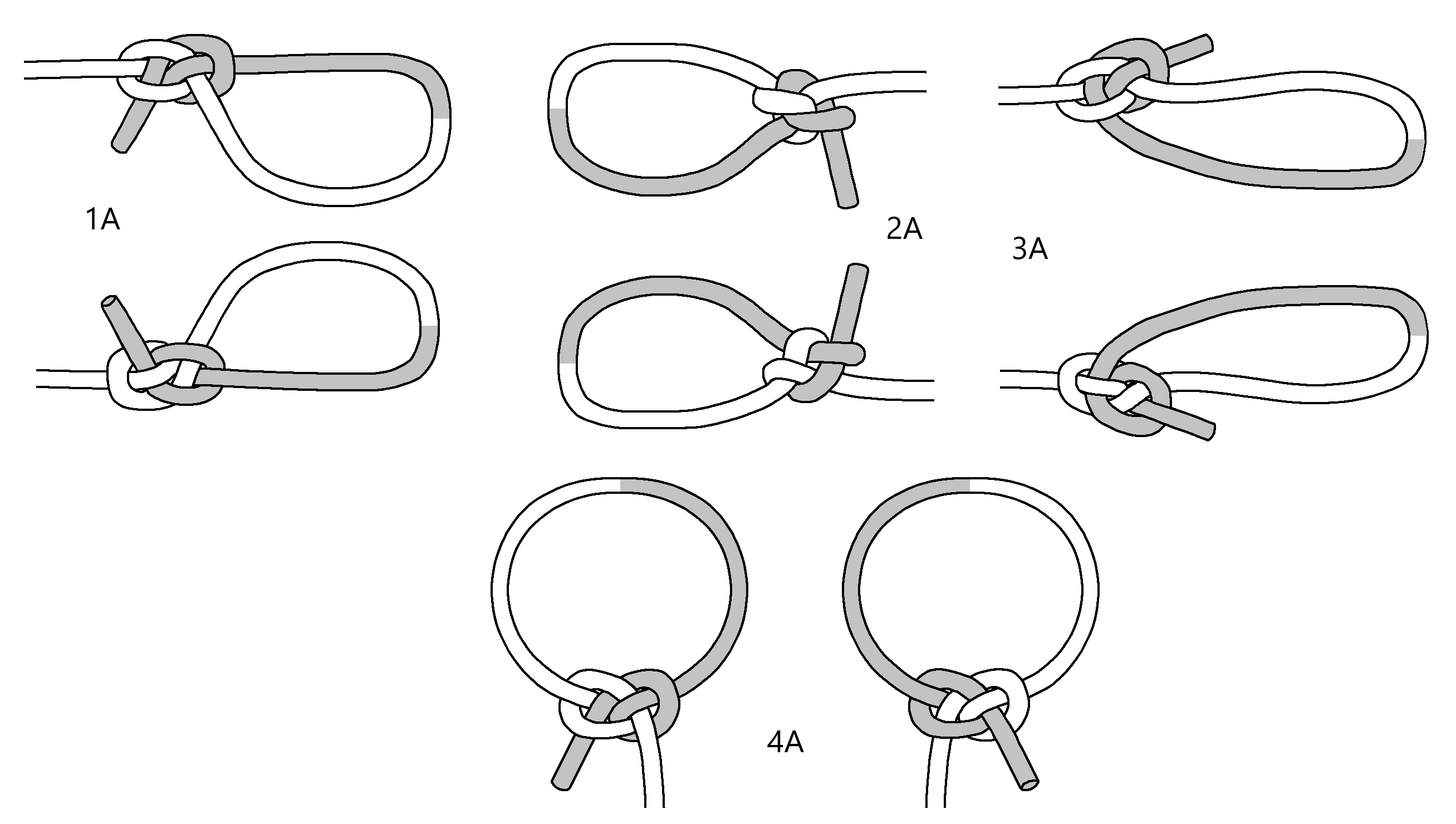 Corrick [1451] Loops, tightened.png