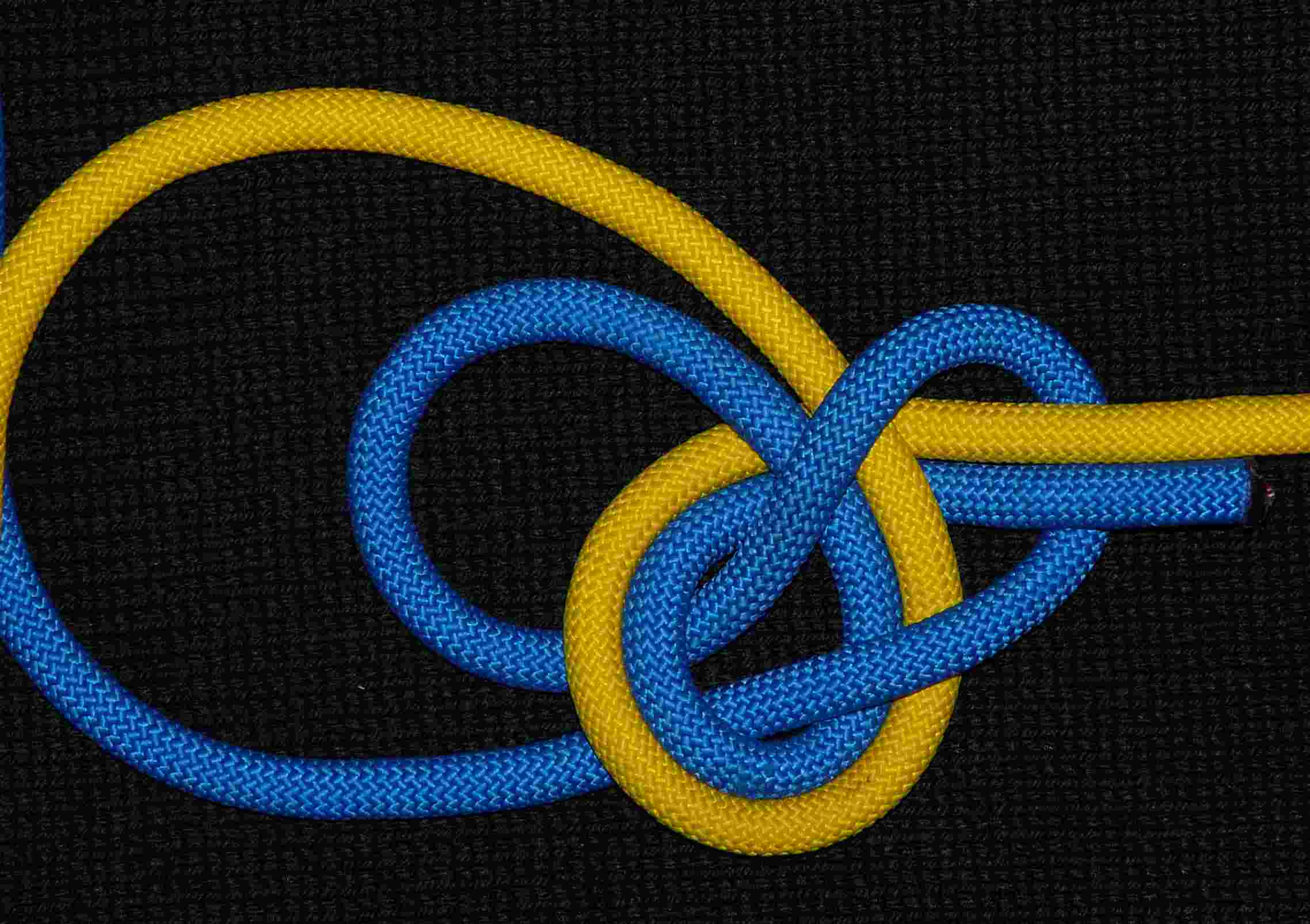 Shrinking Bowline on-the-bight (front view).jpg