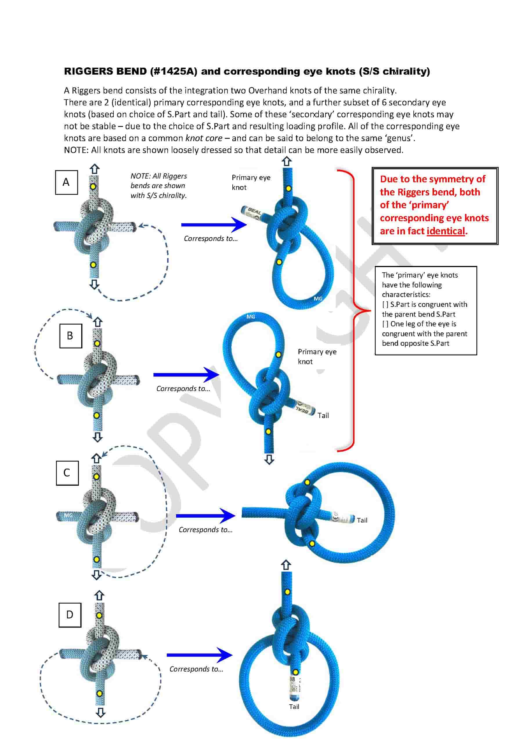 Riggers-bend and corresponding eye knots-min.jpg