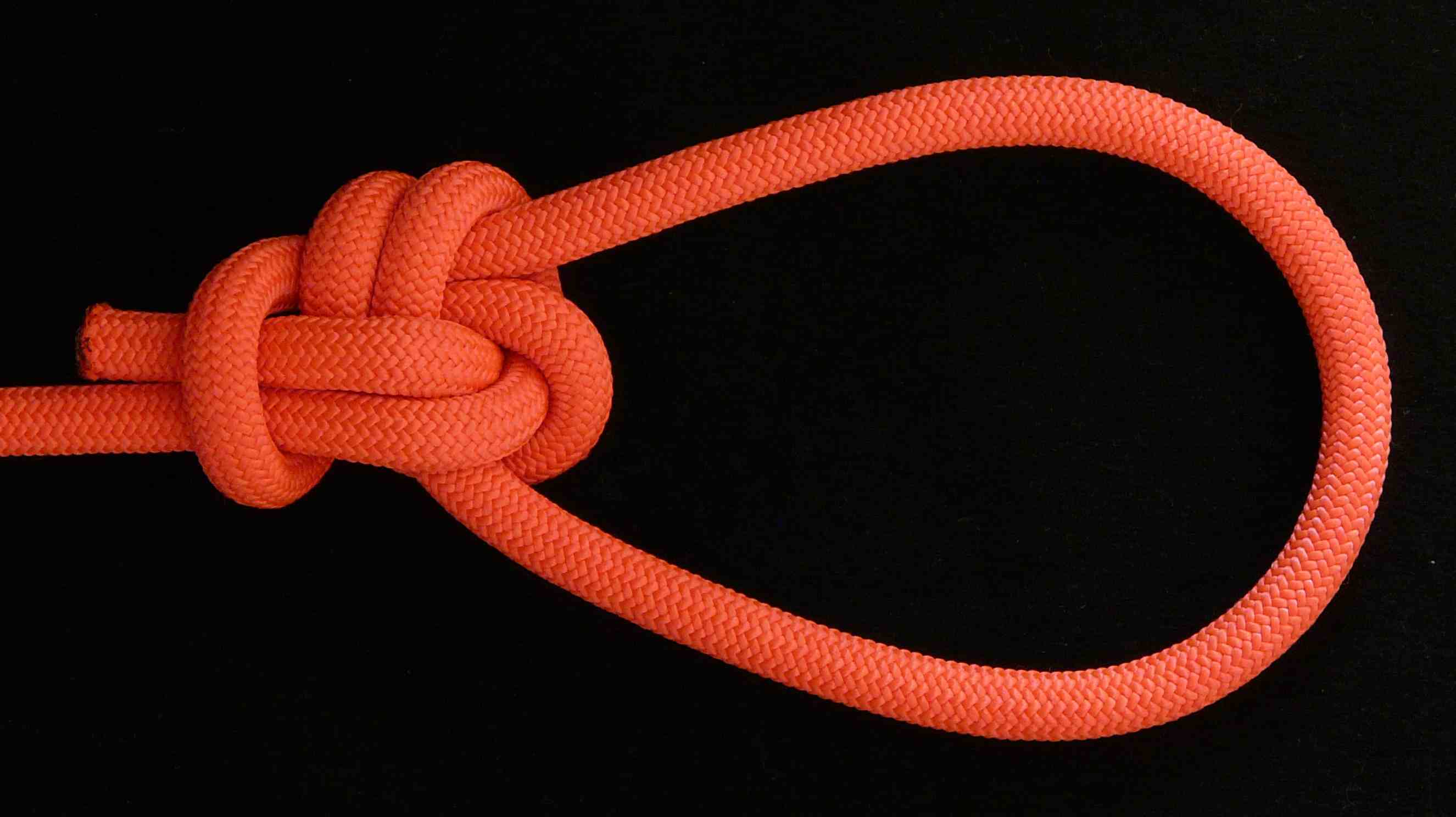 Shrank bowline-on-the-bight (compact knot)(front view).JPG