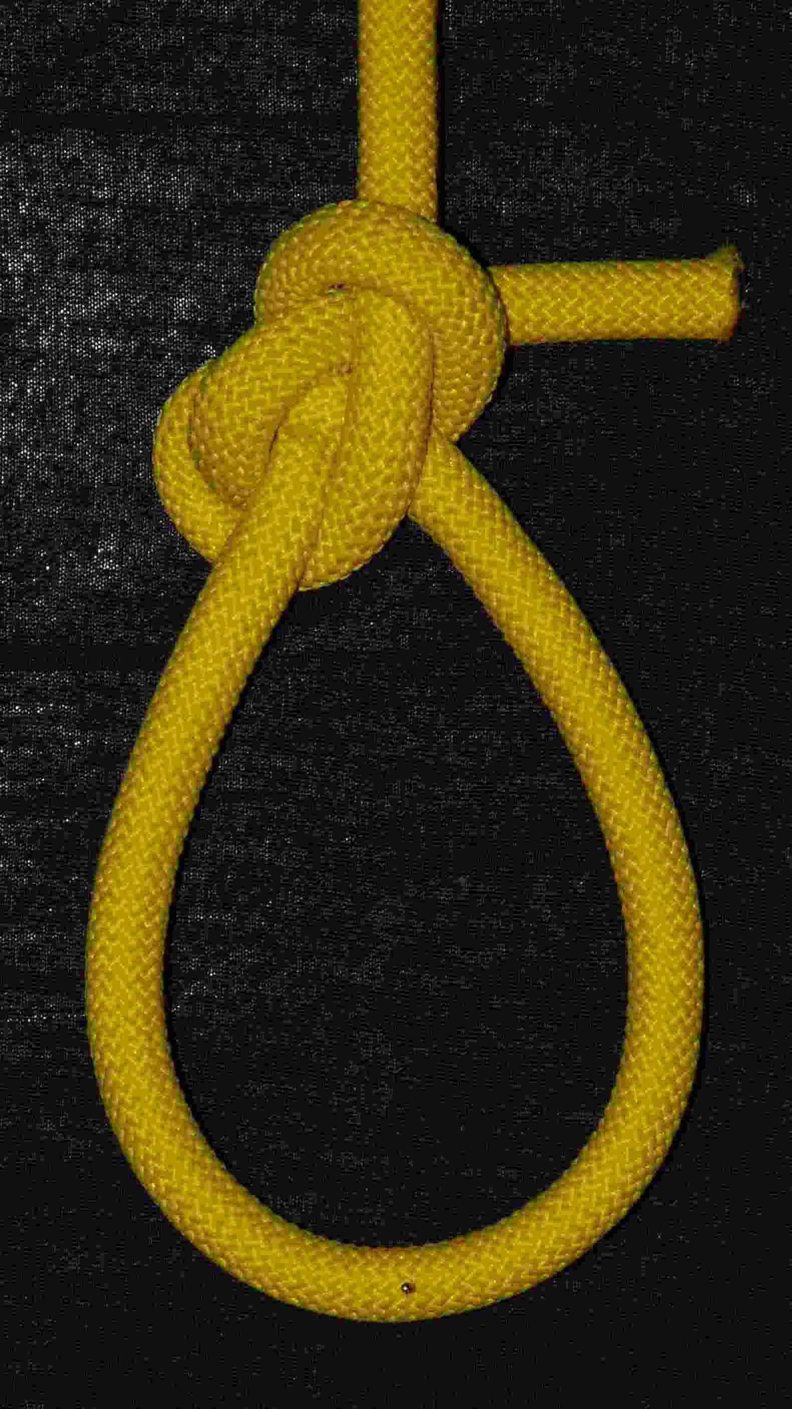TIB locked bowline (front view).JPG