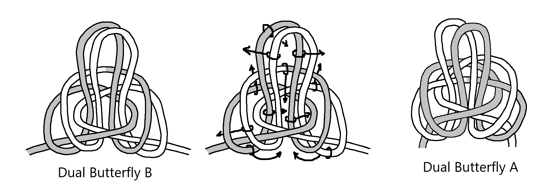 Double Butterfly B 2.png