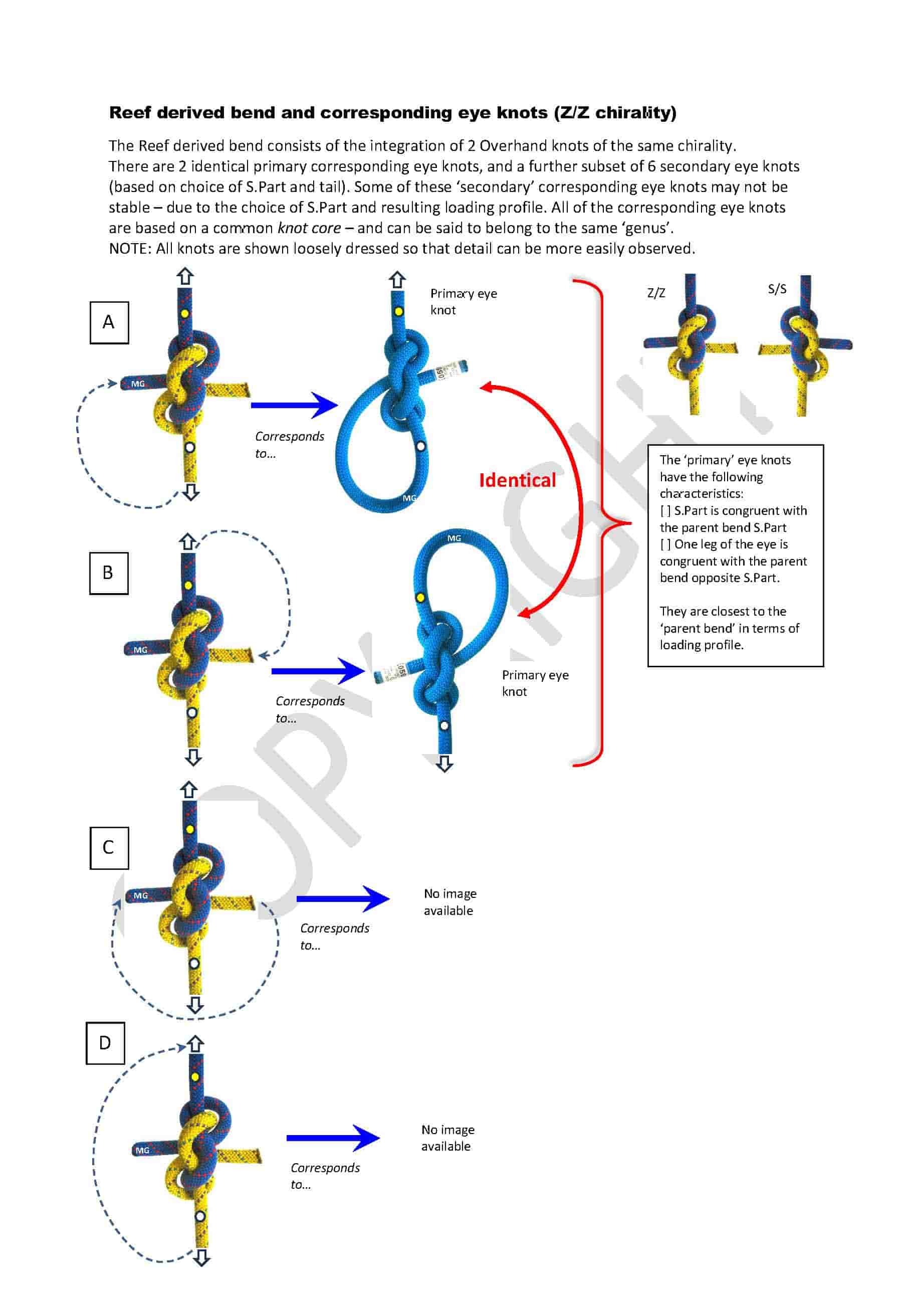 Reef-derived-bend_corresponding eye knots-min.jpg