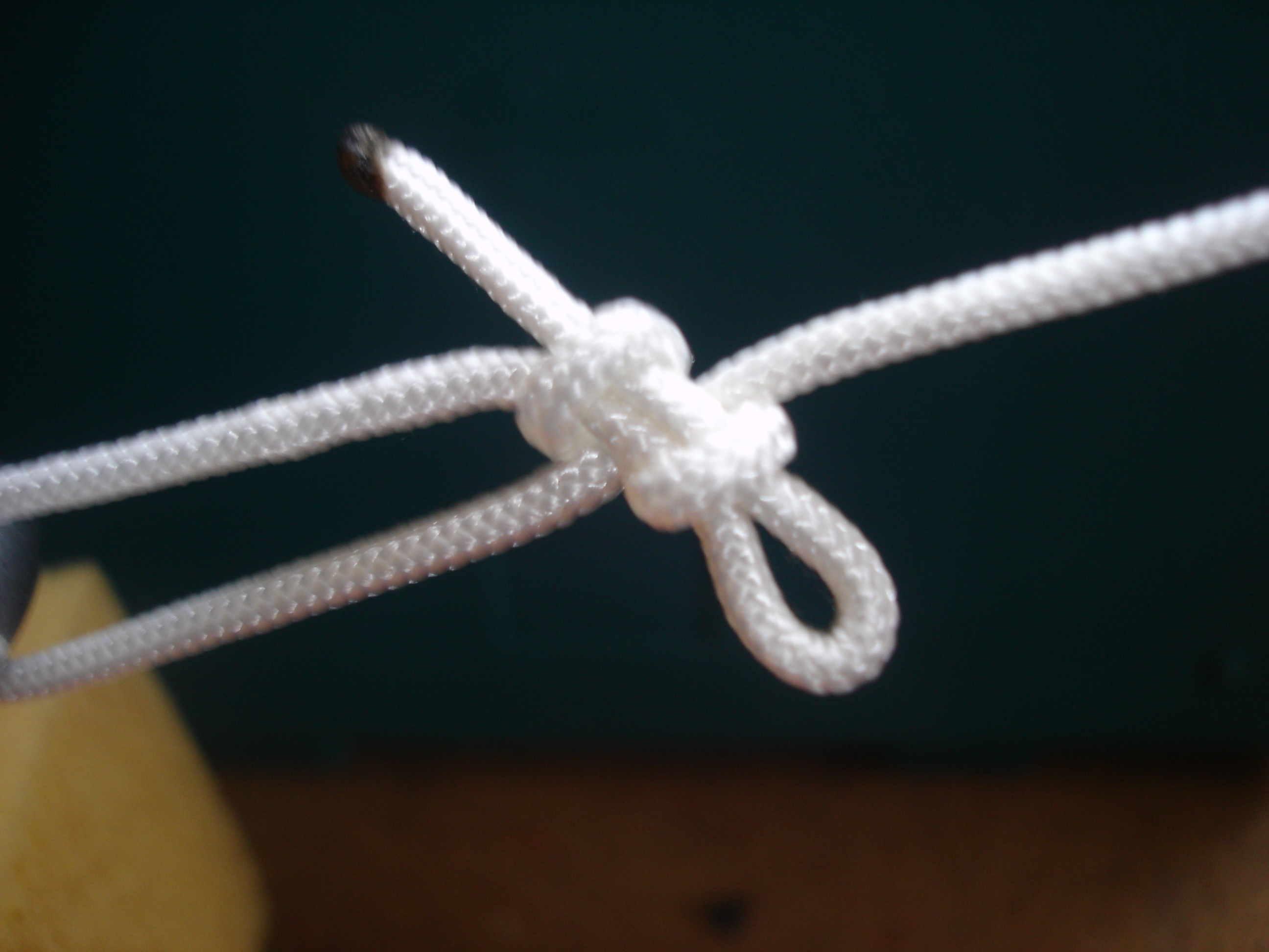 Slippery Clove Loop 2.JPG