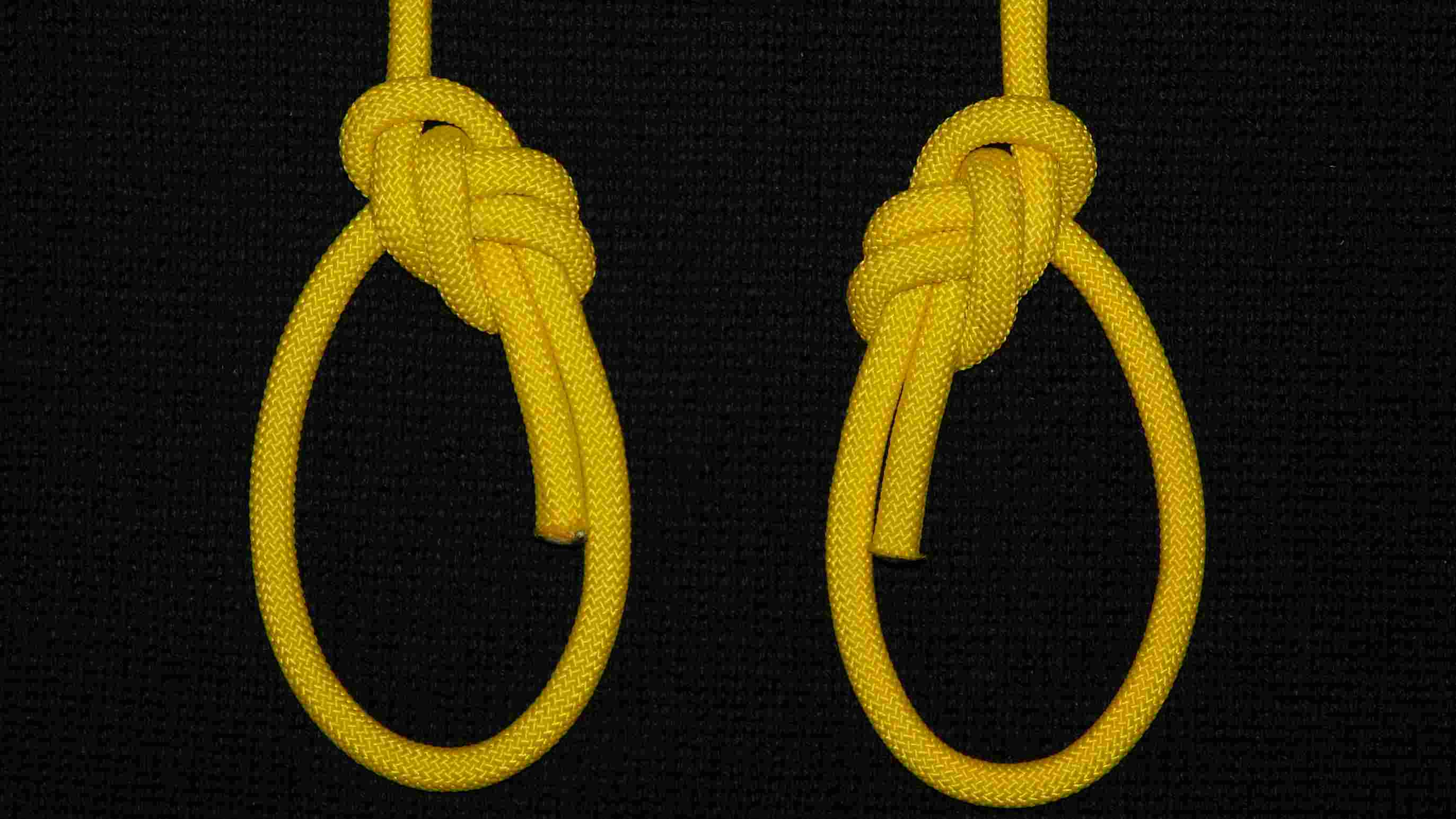 Lee s locked bowline ( back view).JPG