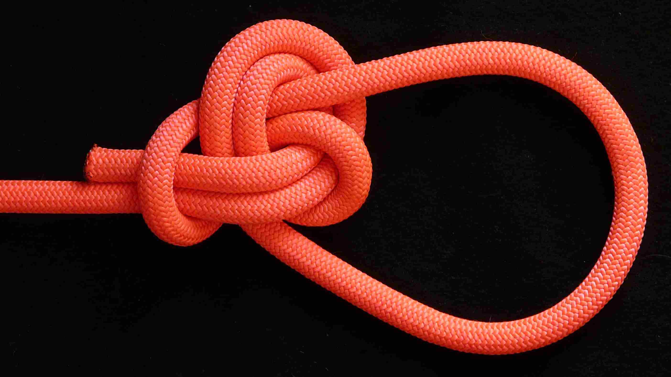 Shrank bowline on-the-bight ( flat knot )(front view).JPG