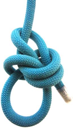 Bowline_EBDB_Reversed_Chirality_Back.JPG