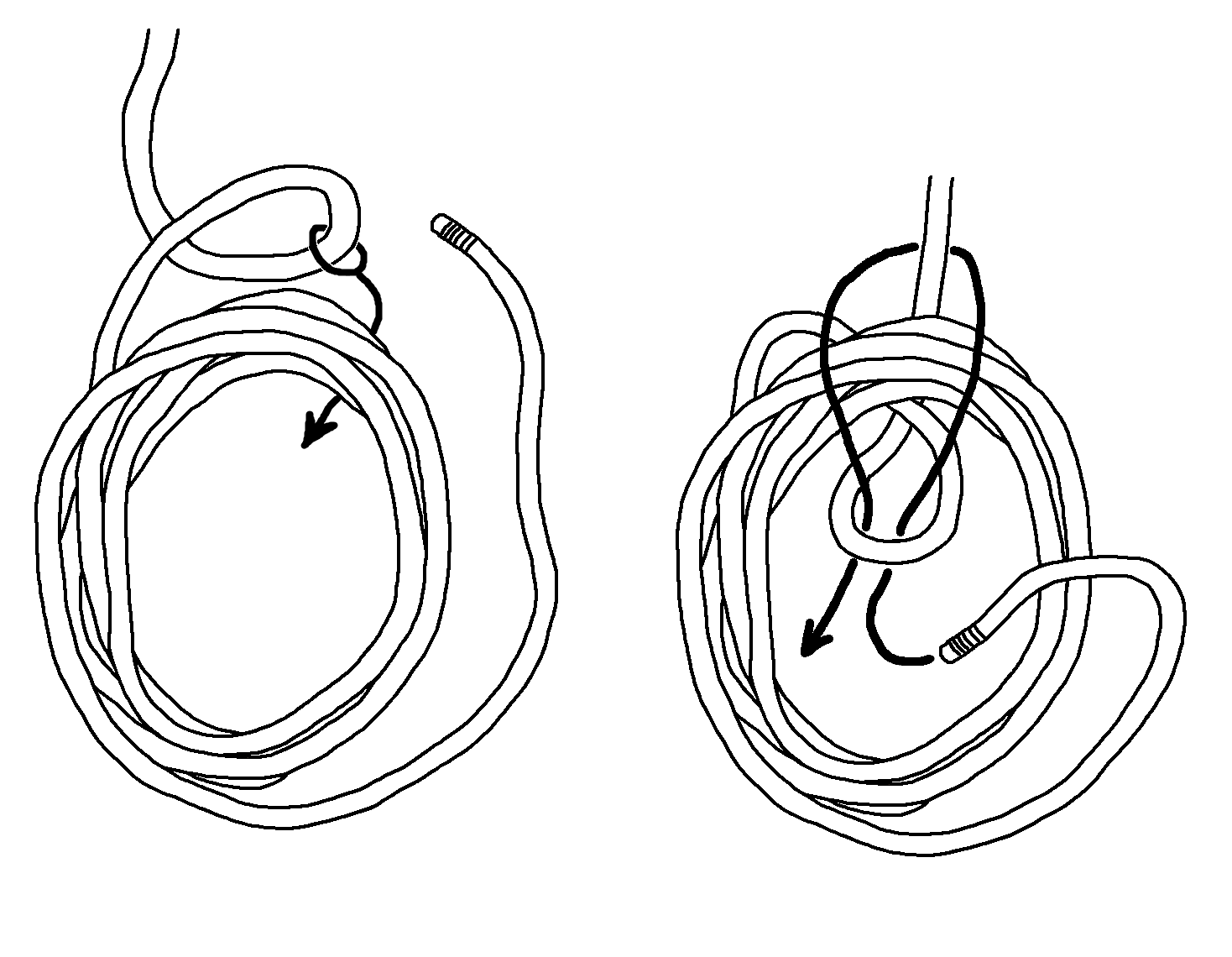 Bowline-in-a-Coil.png