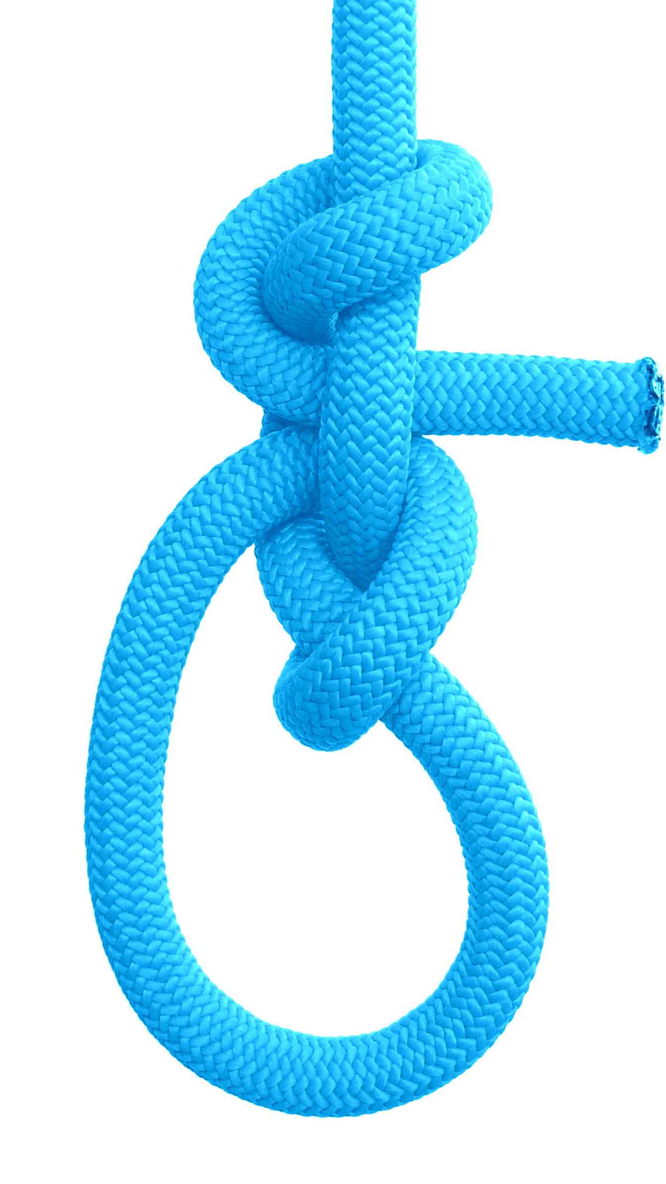 Double Harness loop ( front view ).JPG