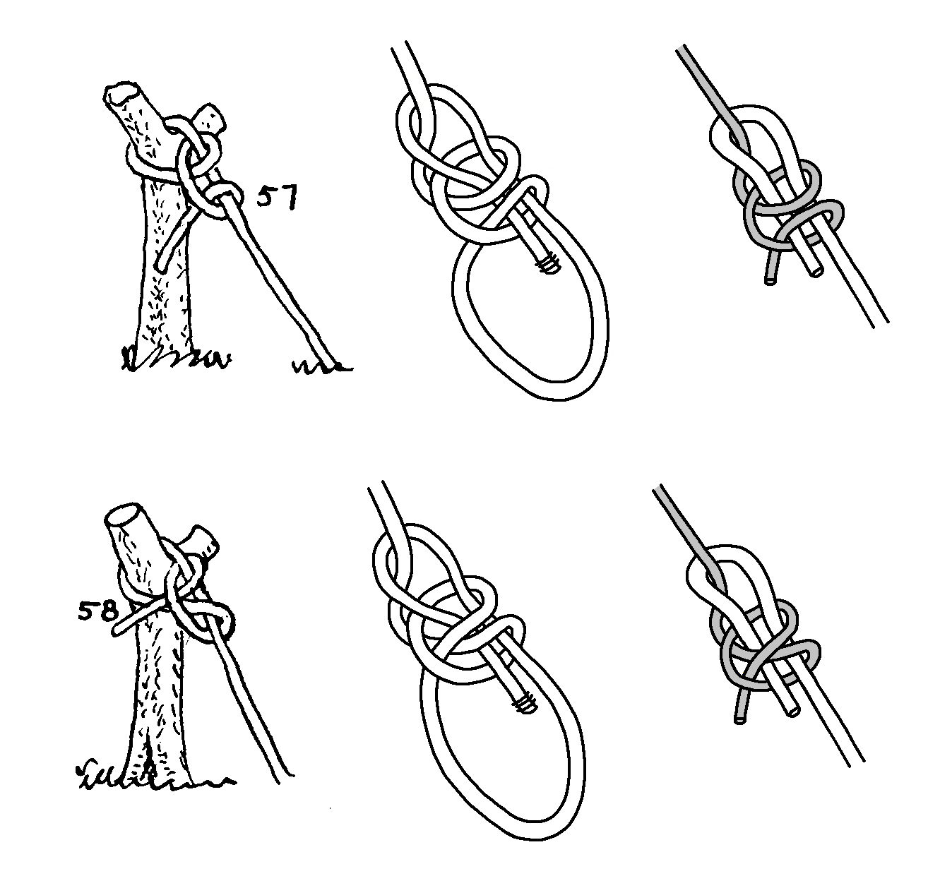 Enhanced Bowline Bends Eb.png