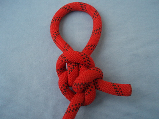 Transposed munter dragon_front.JPG