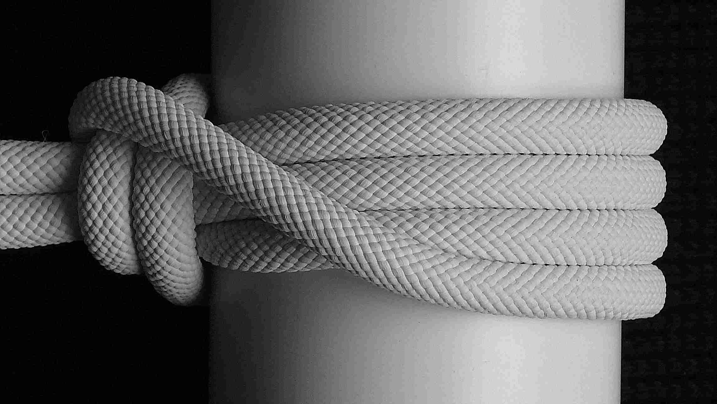 ( top view )(B&W).JPG