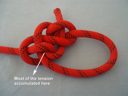 S hitched Cossack_back.JPG