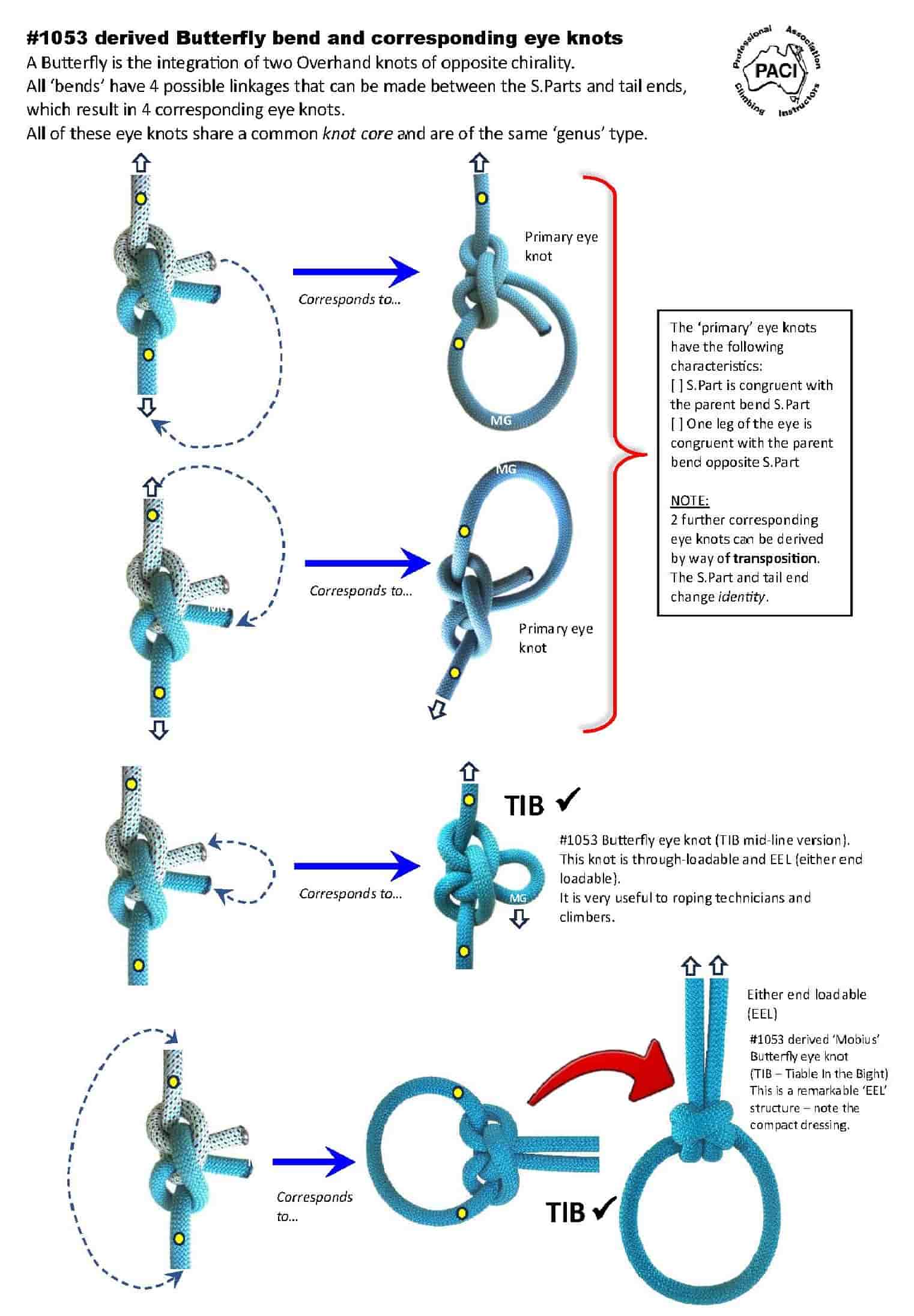 Butterfly_Corresponding_Eye-knots_WEB.jpg