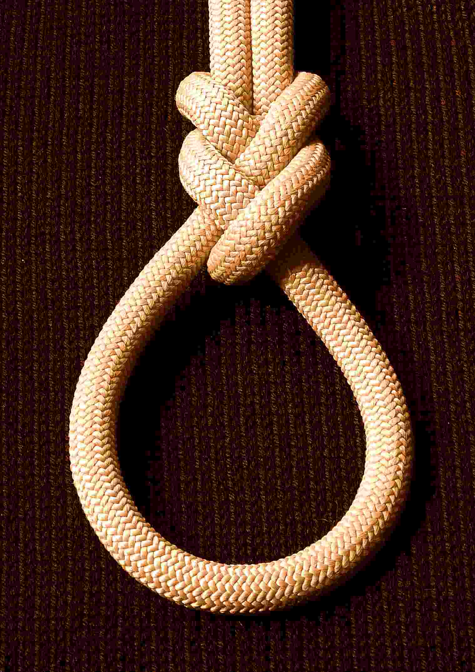 Plait loop - (Sepia).JPG