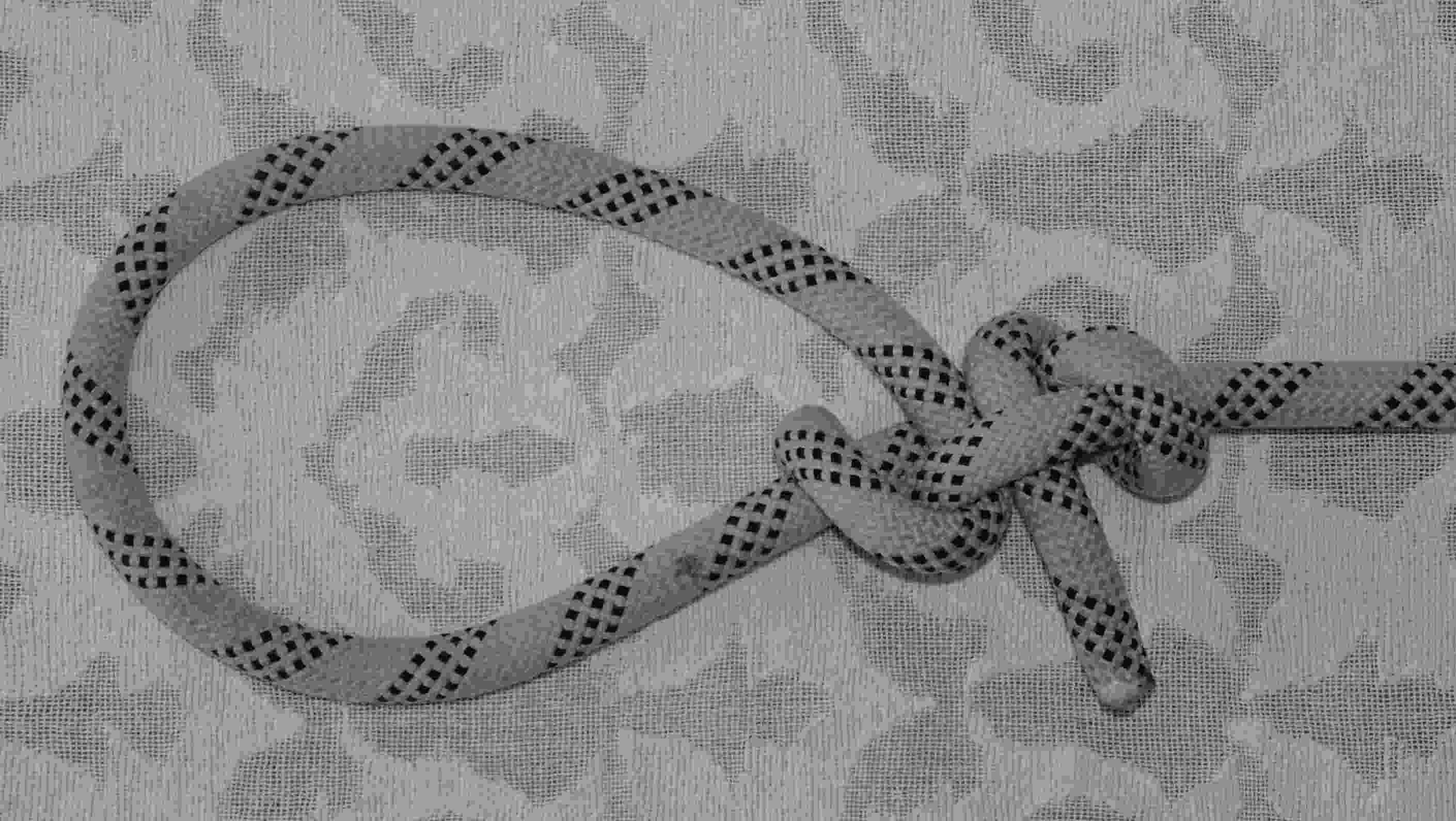 Double Harness loop (ABoK#1420)(2).JPG