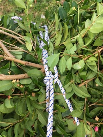 Gleipnir closeup.JPG